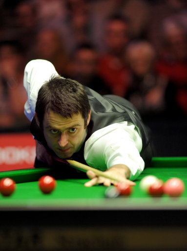 仅反映了双 仅反映了双