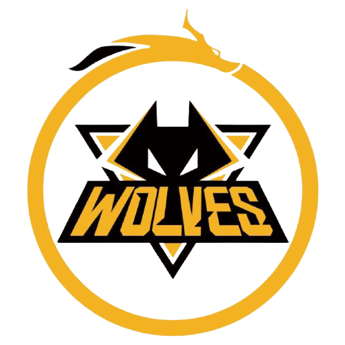 可选标题 可选标题