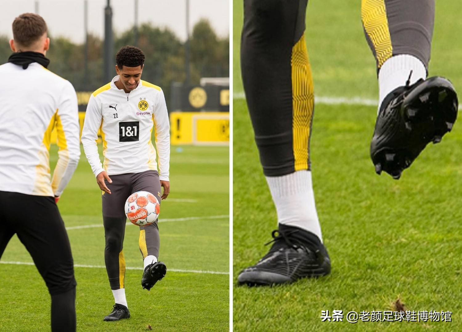 生涯细化数 生涯细化数